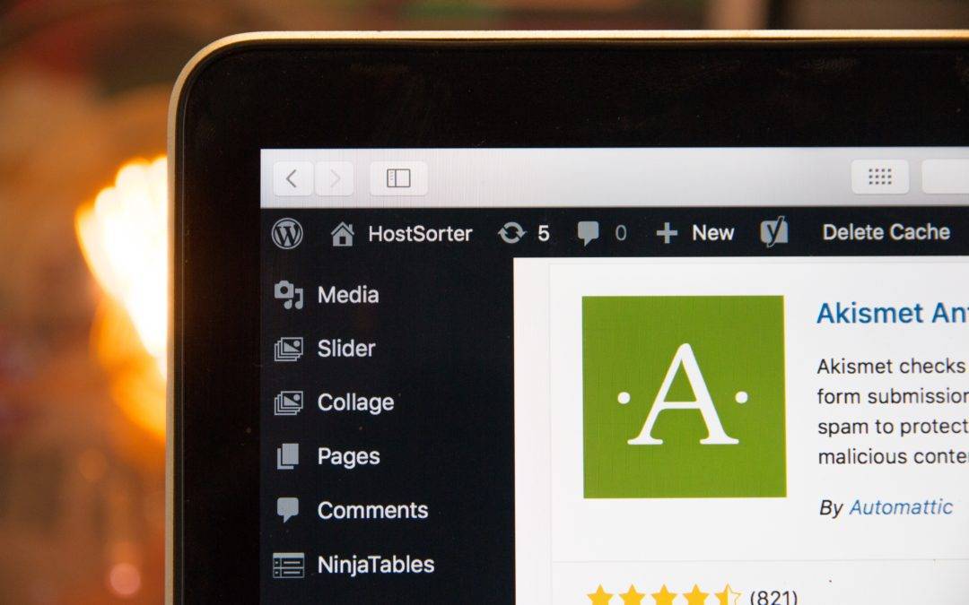 2 Reasons to Manage & Update Your WordPress Website – What to Know